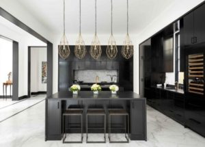 Lovely black and white kitchen interior