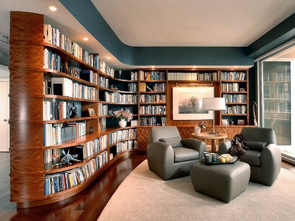 cool library living room